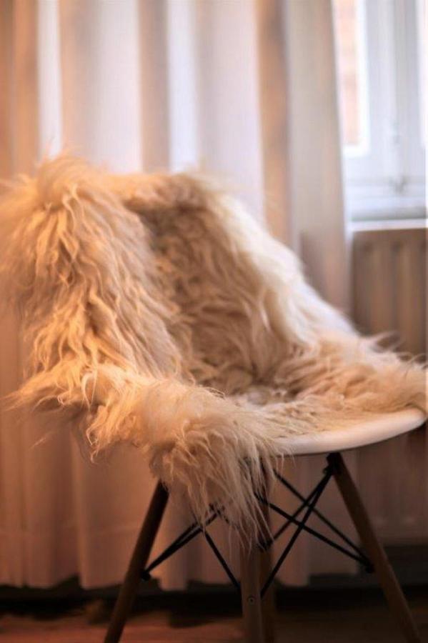 Bed & Breakfast Accademia00