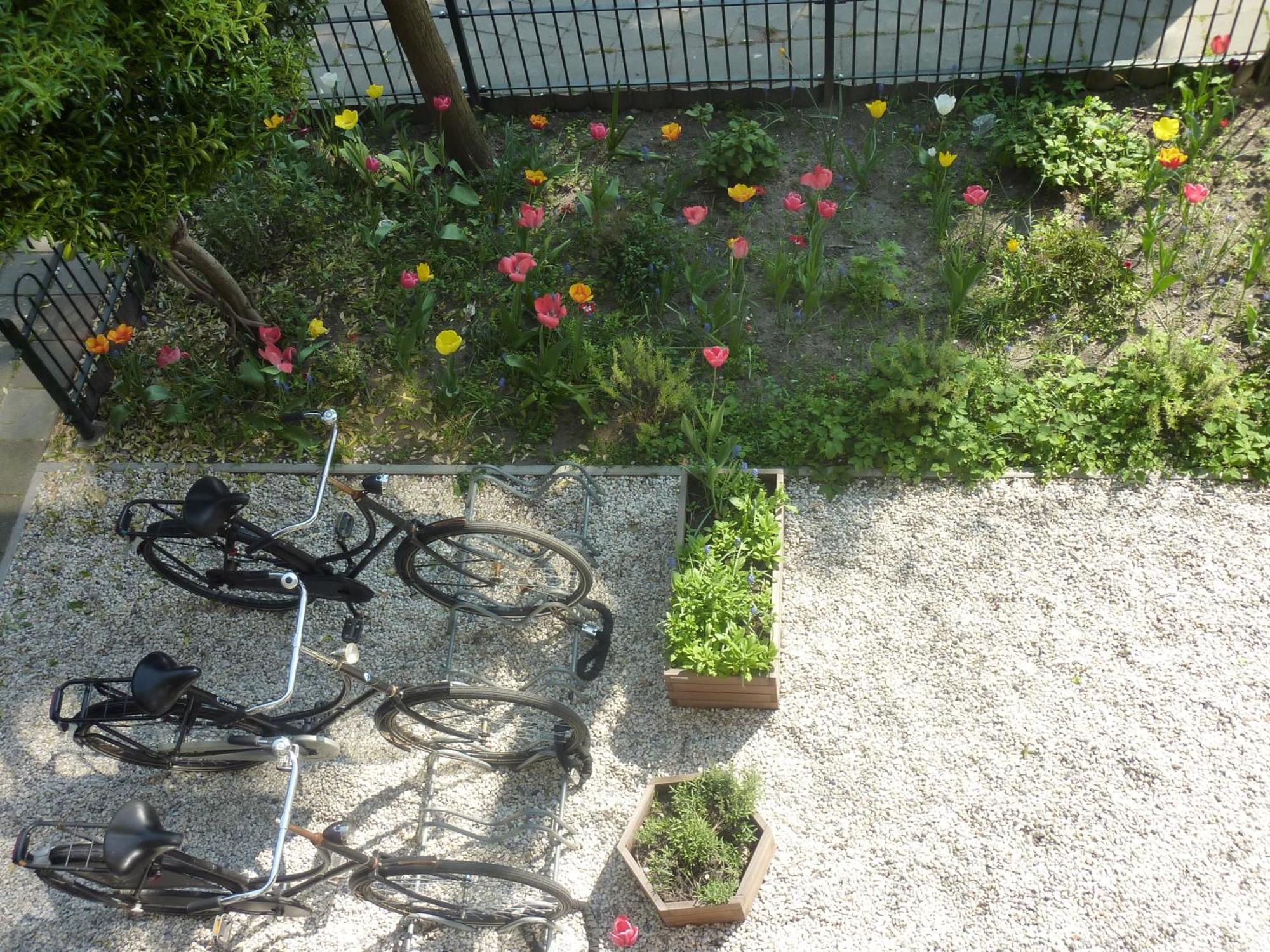 Couette-café Alberti Bed & Bike Maastricht