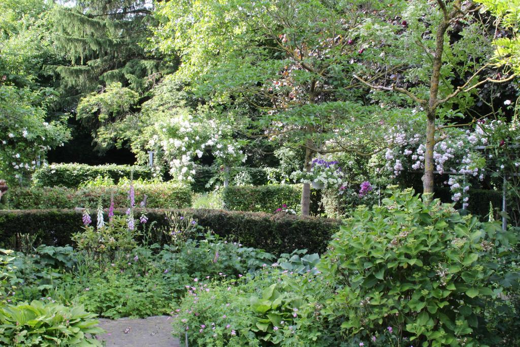 Bed & Breakfast Annelies'place To B& B Maastricht