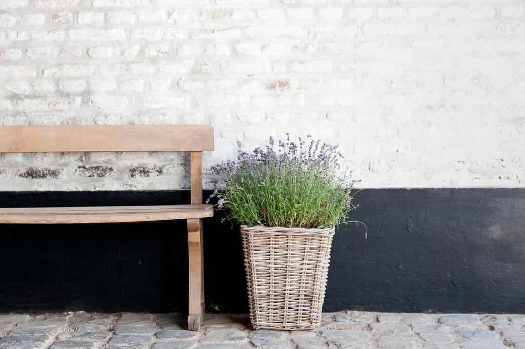 Country house Cour 8 Lofts Maastricht