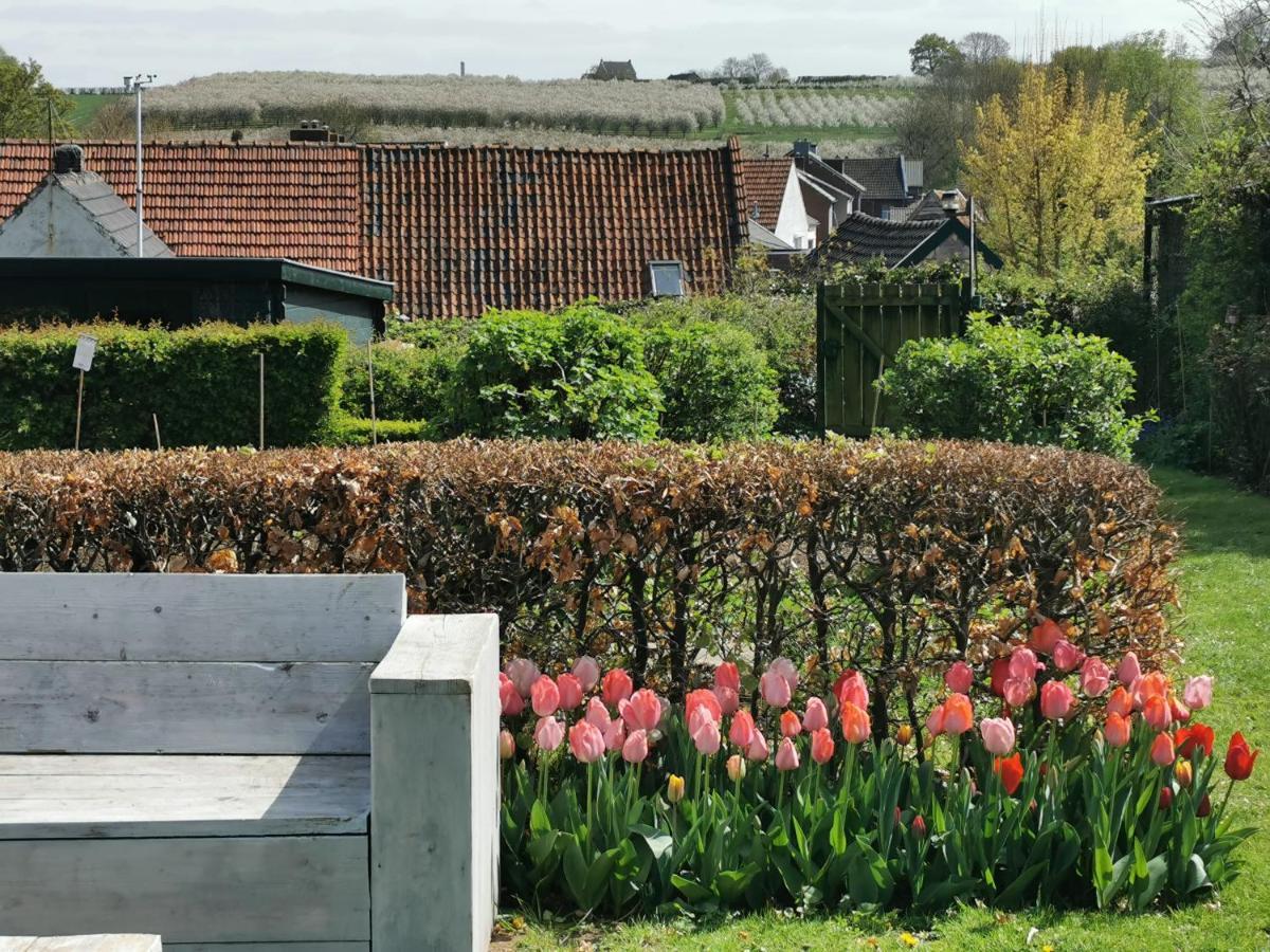 Bed & Breakfast Hof Wolder