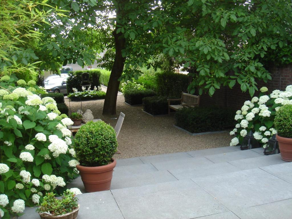 Townhouse51 Bed & Breakfast